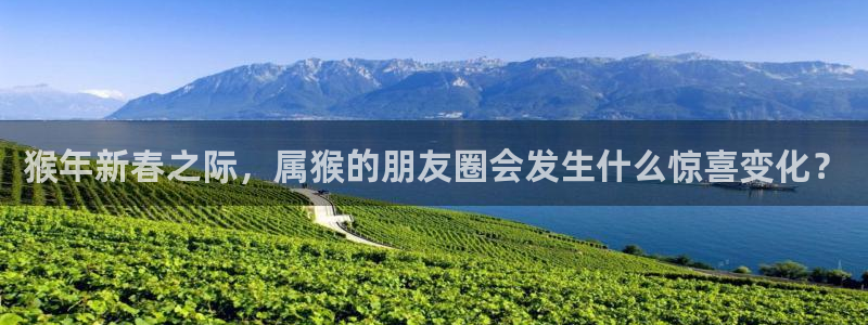 新航娱乐3登陆