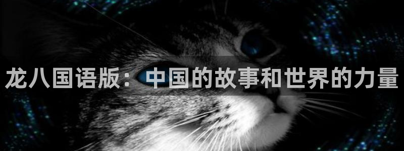 新航娱乐体育4