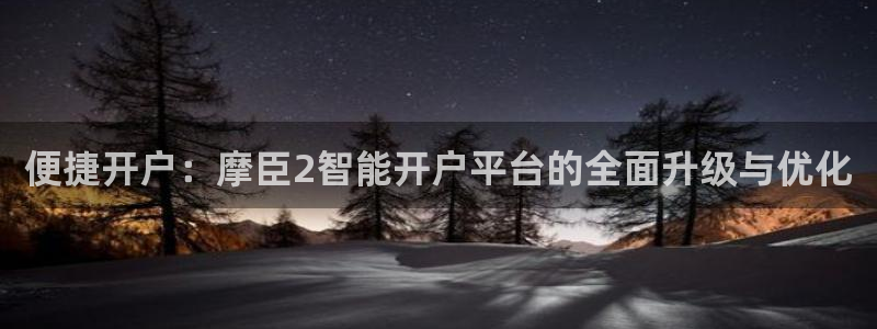 新航娱乐平台总代理：便捷开户：摩臣2智能开户平台的全面升级与优化
