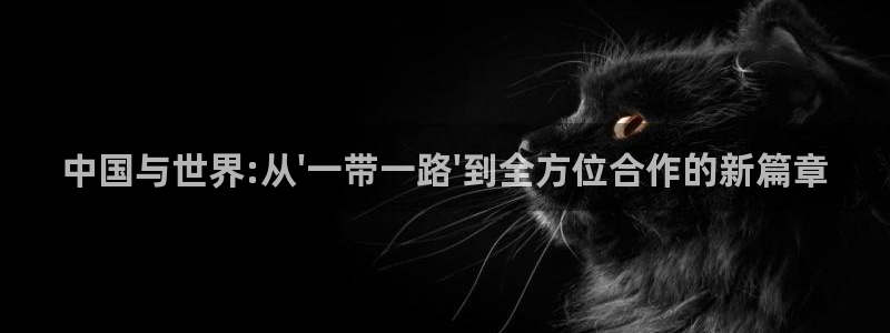 成都新航娱乐电子有限公司：中国与世界:从\'一带一路\'到全方位合作的新篇章