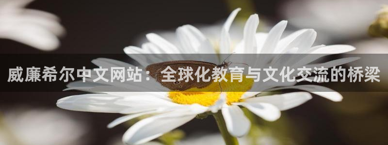 新航娱乐平台总代理：威廉希尔中文网站：全球化教育与文化交流的桥梁