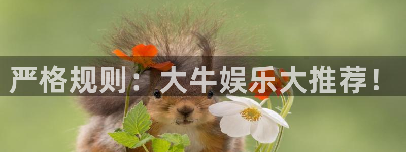新航娱乐体育官网：严格规则：大牛娱乐大推荐！
