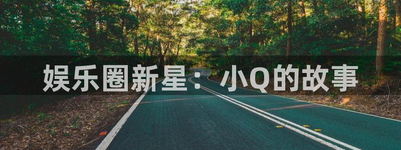 新航娱乐官网注册：娱乐圈新星：小Q的故事