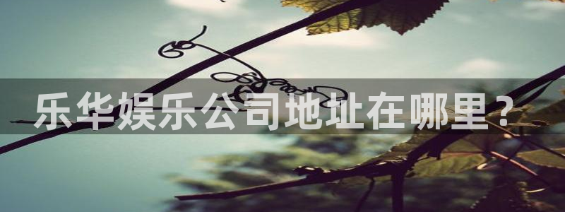 新航娱乐注册：乐华娱乐公司地址在哪里？