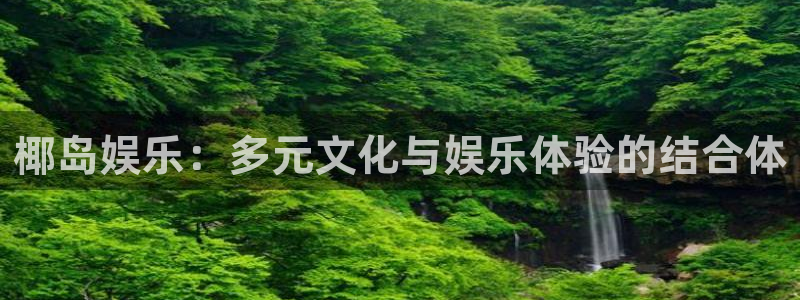 新航娱乐k：椰岛娱乐：多元文化与娱乐体验的结合体
