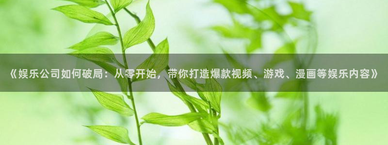 新航娱乐体育官网登录：《娱乐公司如何破局：从零开始，带你打造爆款视频、游戏、漫画