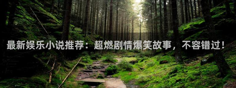 新航娱乐体育平台开号链接：最新娱乐小说推荐：超燃剧情爆笑故事，不容错过！