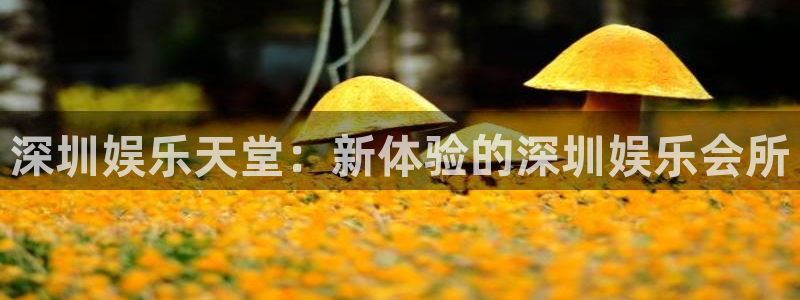 新航娱乐平台官网：深圳娱乐天堂：新体验的深圳娱乐会所