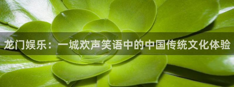 新航娱乐5：龙门娱乐：一城欢声笑语中的中国传统文化体验
