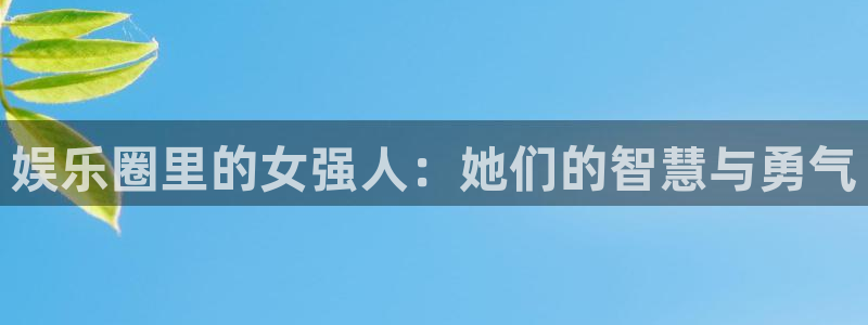 新航娱乐招商：娱乐圈里的女强人：她们的智慧与勇气