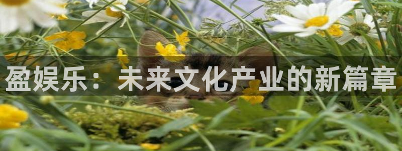新航娱乐2注册：盈娱乐：未来文化产业的新篇章