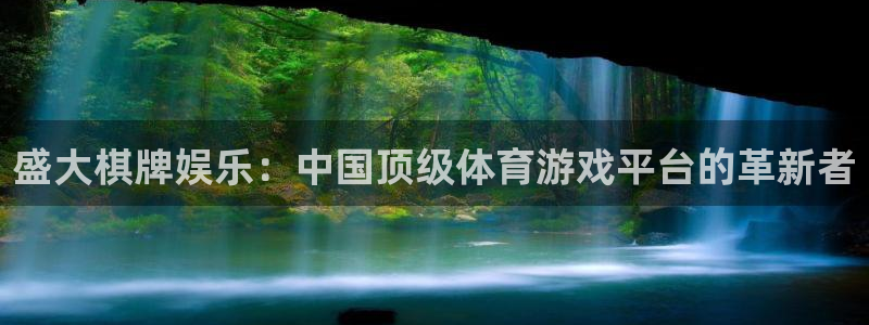 新航娱乐体育代理：盛大棋牌娱乐：中国顶级体育游戏平台的革新者