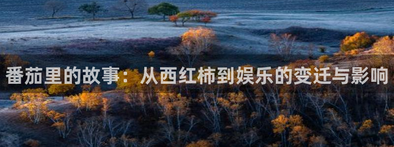 新航娱乐4代理：番茄里的故事：从西红柿到娱乐的变迁与影响