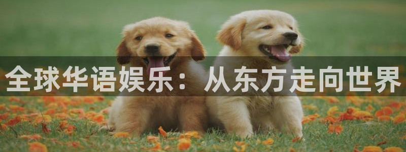 新航娱乐注册：全球华语娱乐：从东方走向世界