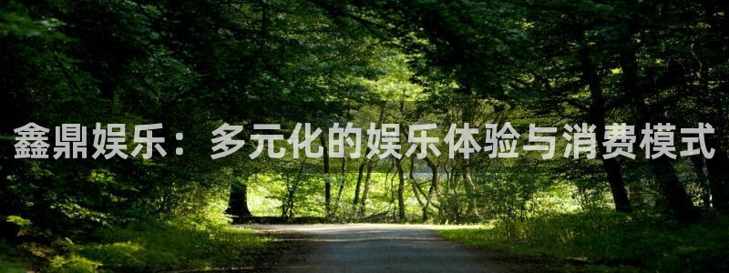 德国新航娱乐集团：鑫鼎娱乐：多元化的娱乐体验与消费模式