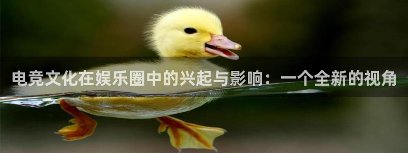 新航娱乐体育f开号：电竞文化在娱乐圈中的兴起与影响：一个全新的视角
