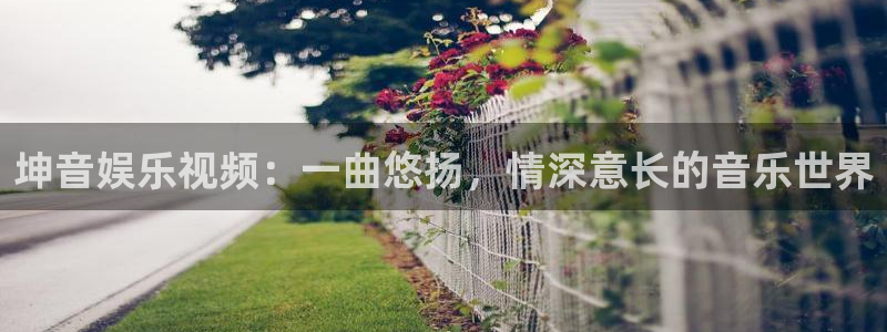 新航娱乐体育3在线注册：坤音娱乐视频：一曲悠扬，情深意长的音乐世界