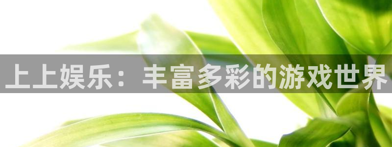 新航娱乐平台官网：上上娱乐：丰富多彩的游戏世界