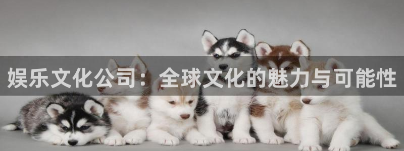 新航娱乐体育凯捷平台招商：娱乐文化公司：全球文化的魅力与可能性