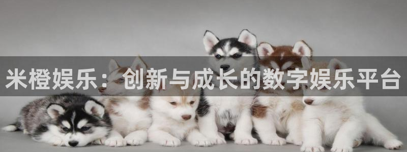 新航娱乐体育f开号