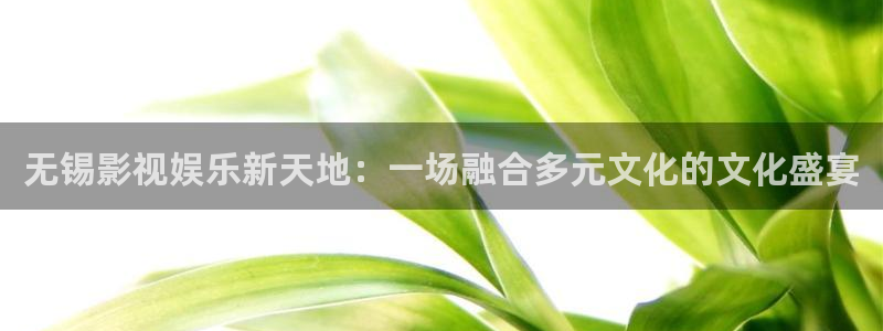 新航娱乐3平台注册：无锡影视娱乐新天地：一场融合多元文化的文化盛宴