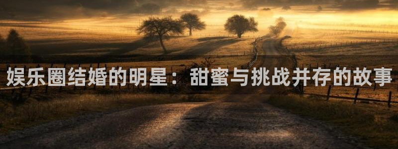 新航娱乐体育用品：娱乐圈结婚的明星：甜蜜与挑战并存的故事